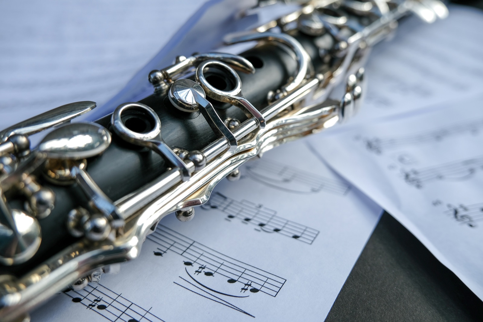 Buying Your First Clarinet: Student Models, Mouthpieces and Reeds