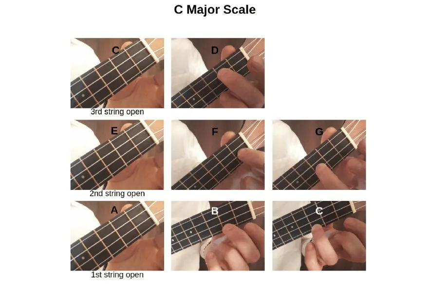 Ukulele music theory: Play the C major scale on the ukulele.