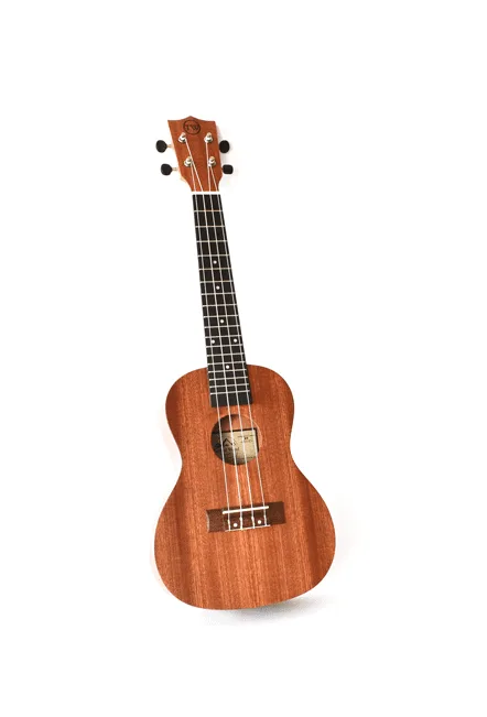 Tyro ukulele available at Steve's music in Montreal