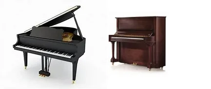 Grand piano & Upright piano