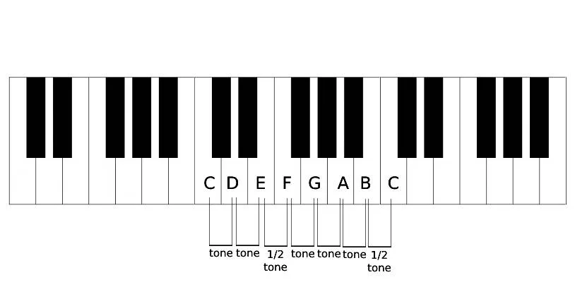 The distance between the notes in a major scale: TTSTTTS