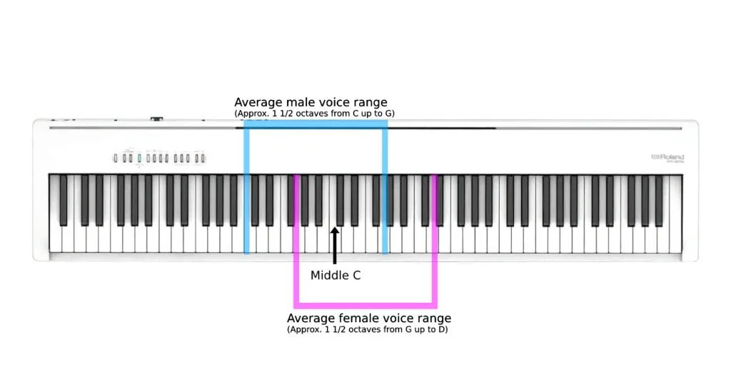 Average voice ranges for men and women