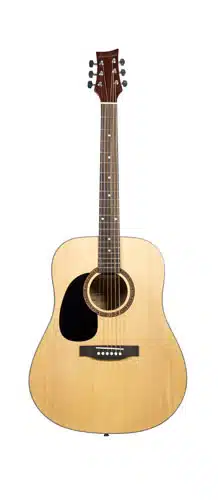 Beaver Creek Left Handed Acoustic Guitar
