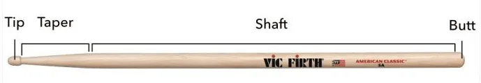 Anatomy of a drumstick