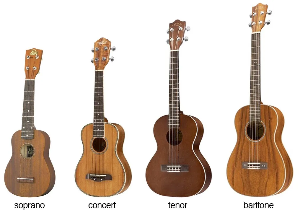 The different ukulele sizes